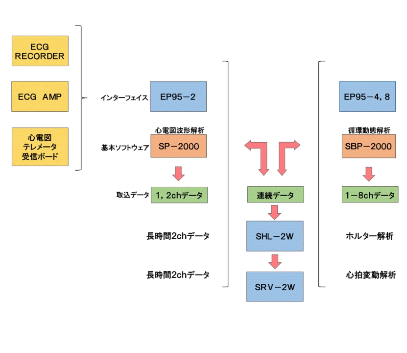 データ解析の流れ.gif